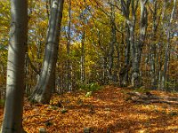 Beskid Niski